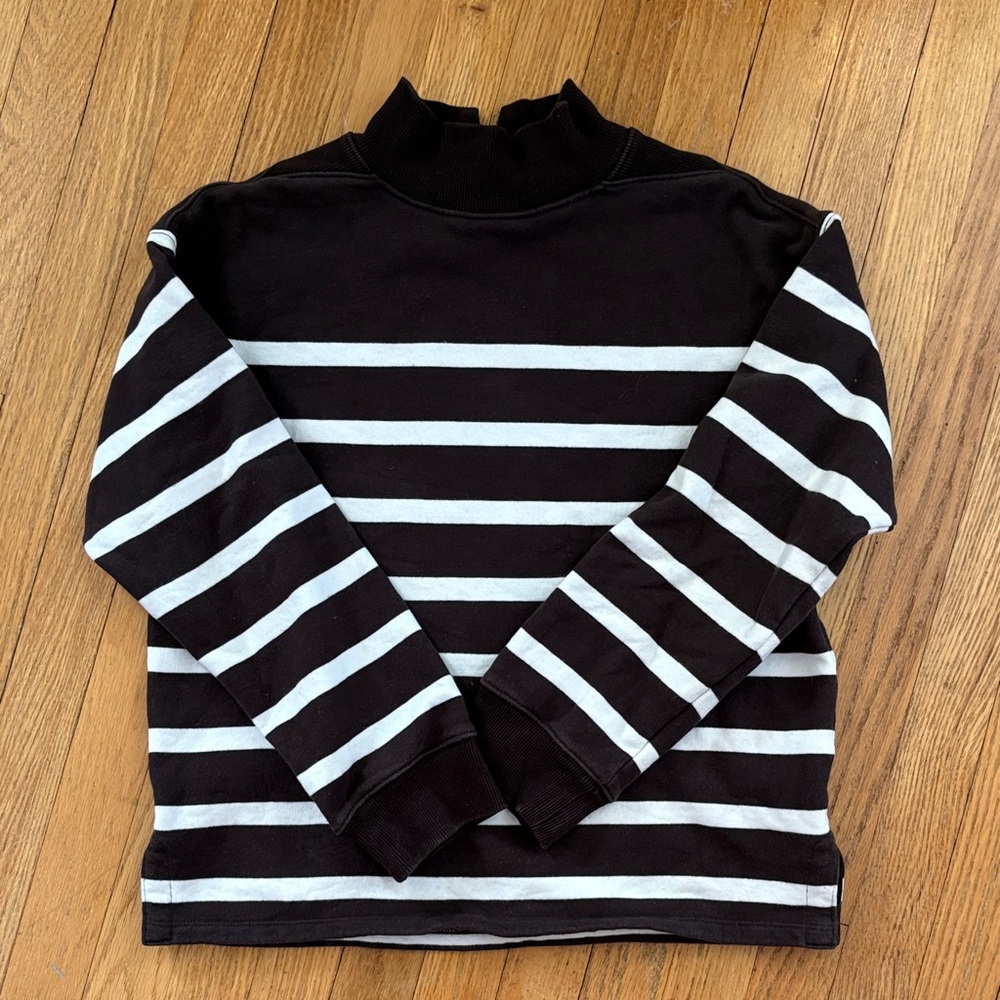 Madewell Turtleneck Sweatshirt with Brown and White Stripes